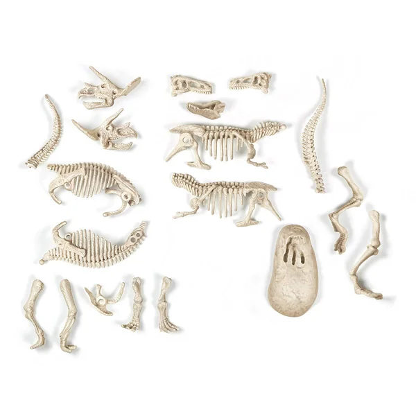 Archeo Ludic Trex et Triceratops