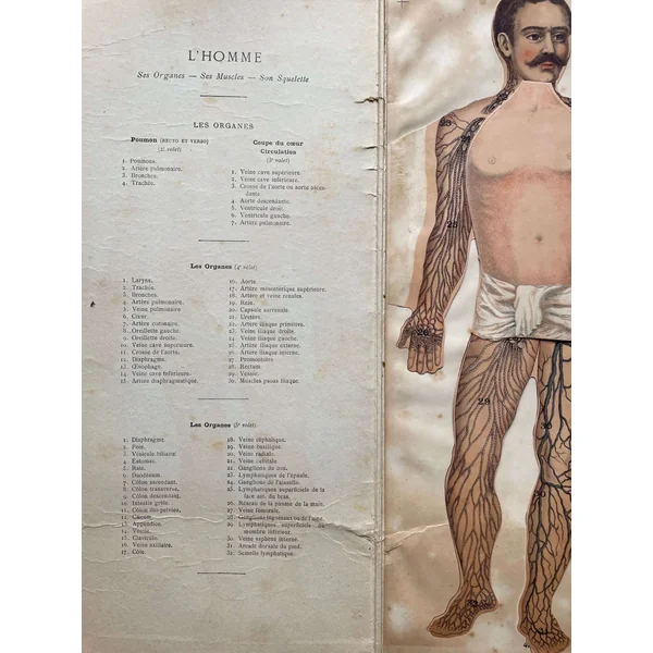 Brochure ancienne "L'Homme" Dr Lelièvre