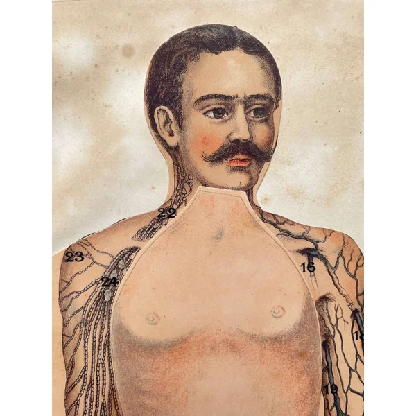 Brochure ancienne "L'Homme" Dr Lelièvre