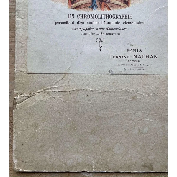 Brochure ancienne "L'Homme" Dr Lelièvre