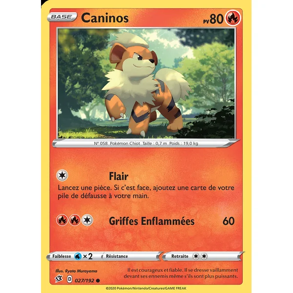 Caninos 027/192
