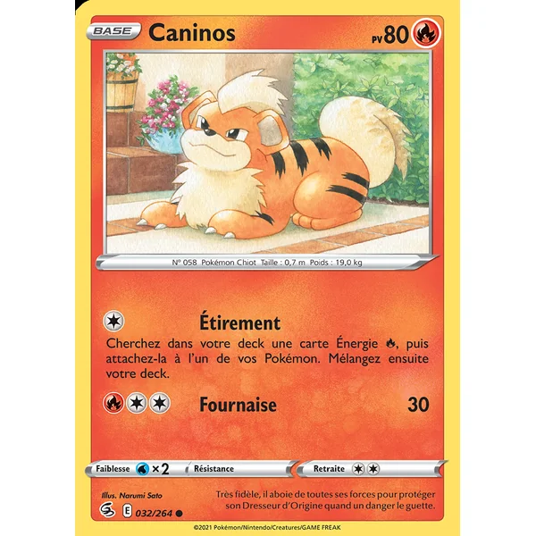 Caninos 032/264
