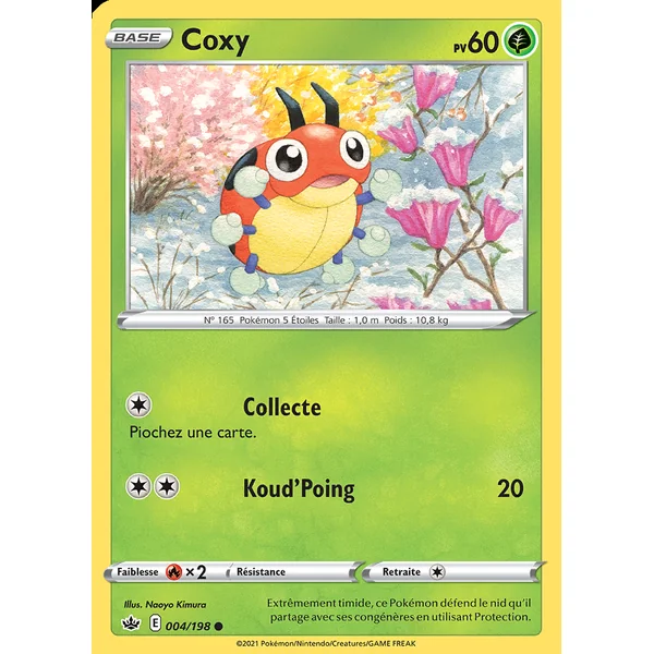 Coxy 004/198