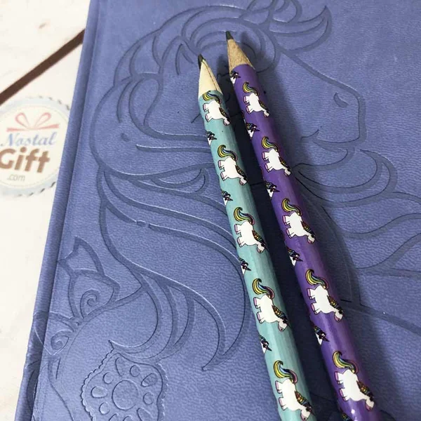 Crayon à papier Licorne x2