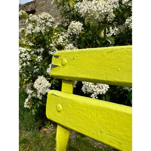 Deux chaises de jardin anciennes