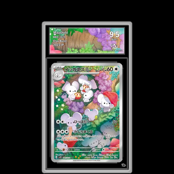 Famignol AR 081/071 - SV2D