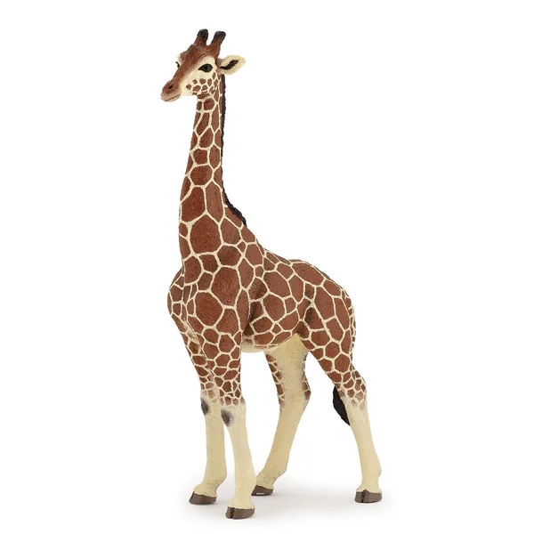 Figurine Girafe mâle
