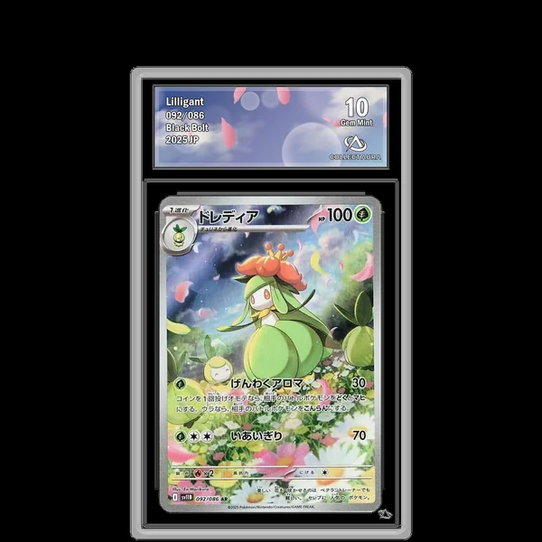 Fragilady AR 092/086 - SV11B