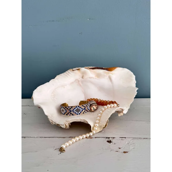 Grand bénitier tridacne XXème