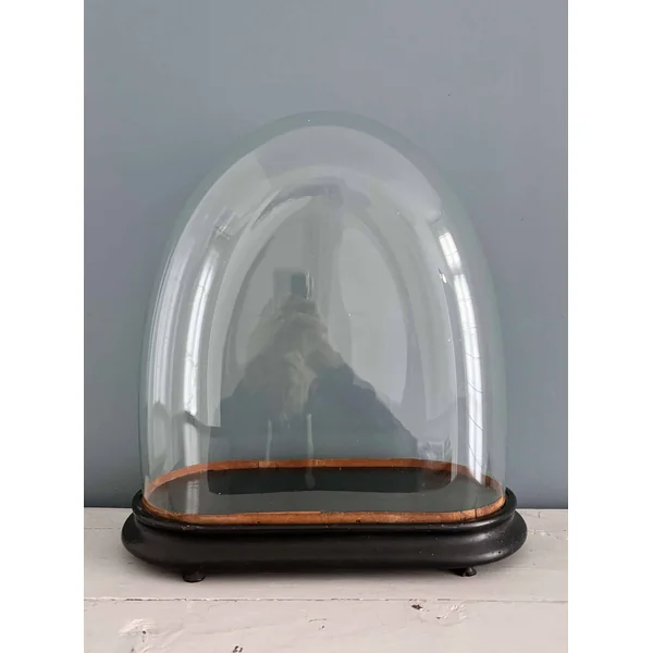 Grand globe de mariée XIXème