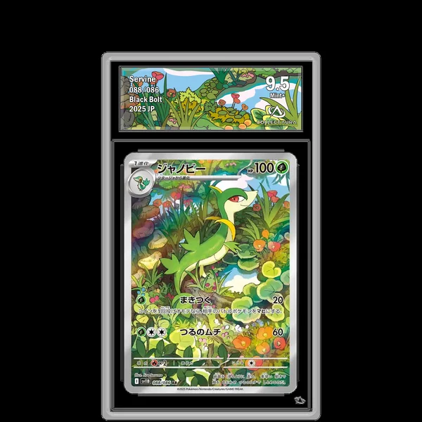 Lianaja AR 088/086 - SV11B
