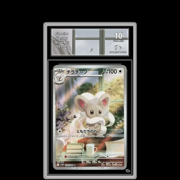 Pashmilla AR 158/086 - SV11B