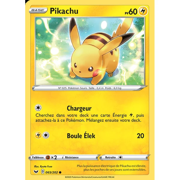 Pikachu 065/202