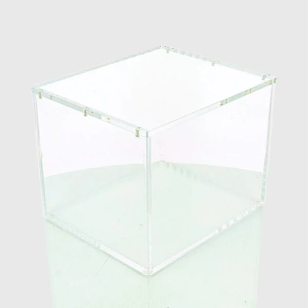 Protection Acrylique - Mini tin display 10 - Phoenix shield