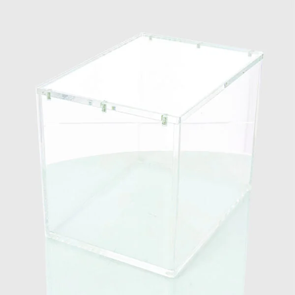 Protection Acrylique - Mini tin display 8 - Phoenix shield