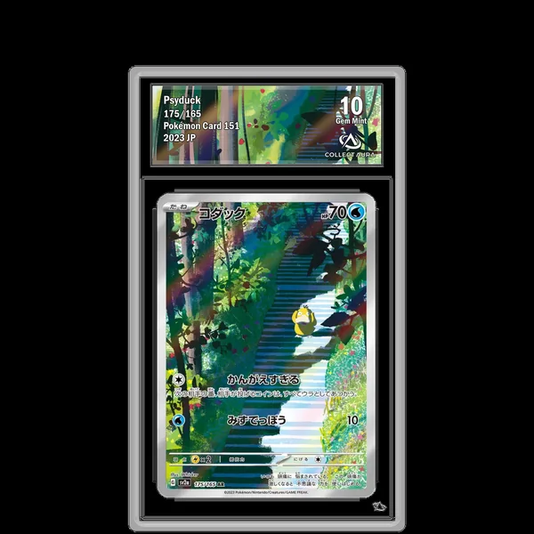 Psykokwak AR 175/165 - SV2A