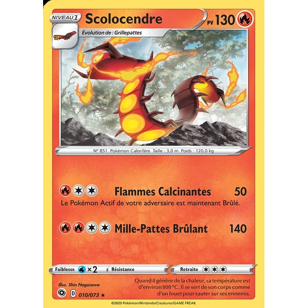 Scolocendre 010/073