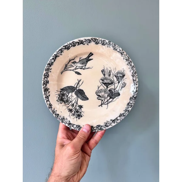Suite de 7 assiettes plates 1900 en faïence Terre de Fer