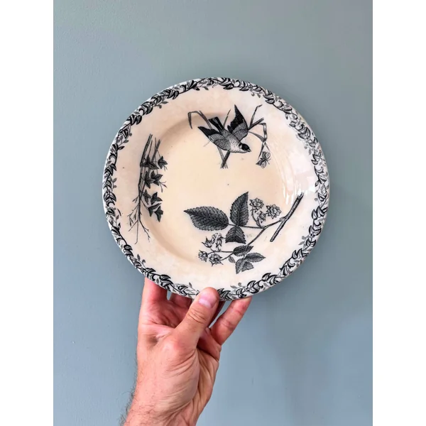 Suite de 7 assiettes plates 1900 en faïence Terre de Fer