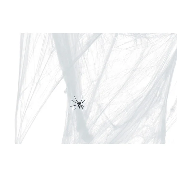Toile d'araignée blanche