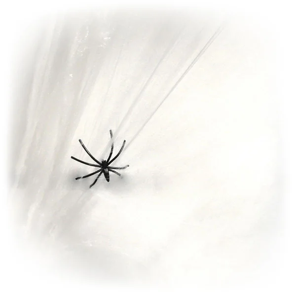 Toile d'araignée blanche