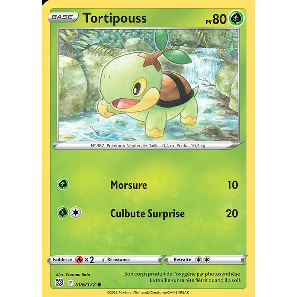 Tortipouss 006/172