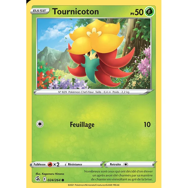 Tournicoton 024/264