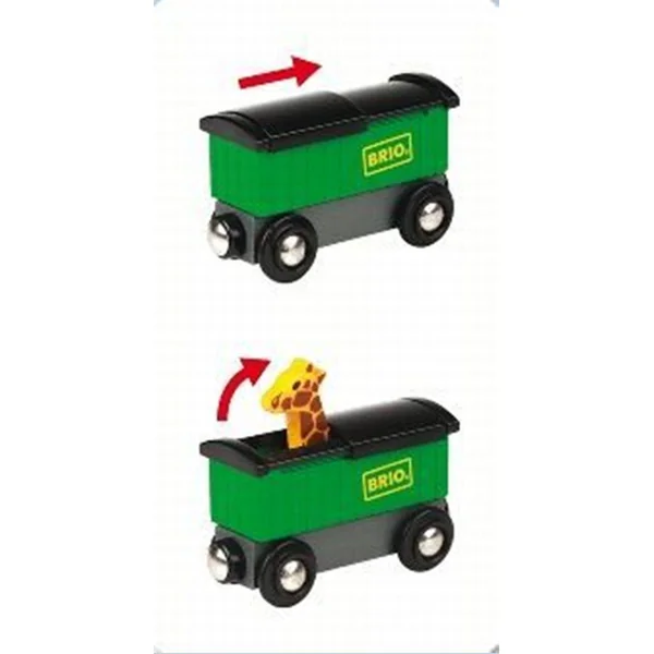 Train safari