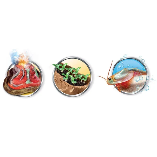 Triops et la terre des dinosaures