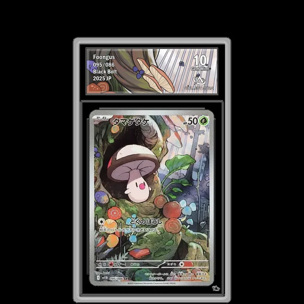 Trompignon AR 095/086 - SV11B