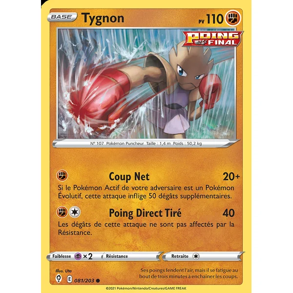 Tygnon 081/203