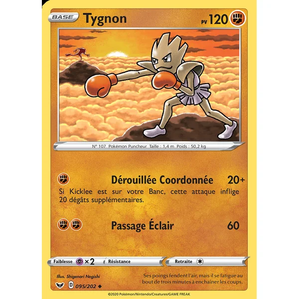 Tygnon 095/202